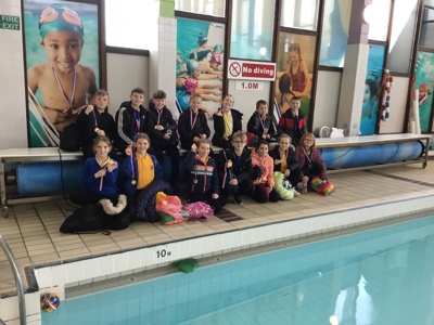 SWIMMING SUPER STARS